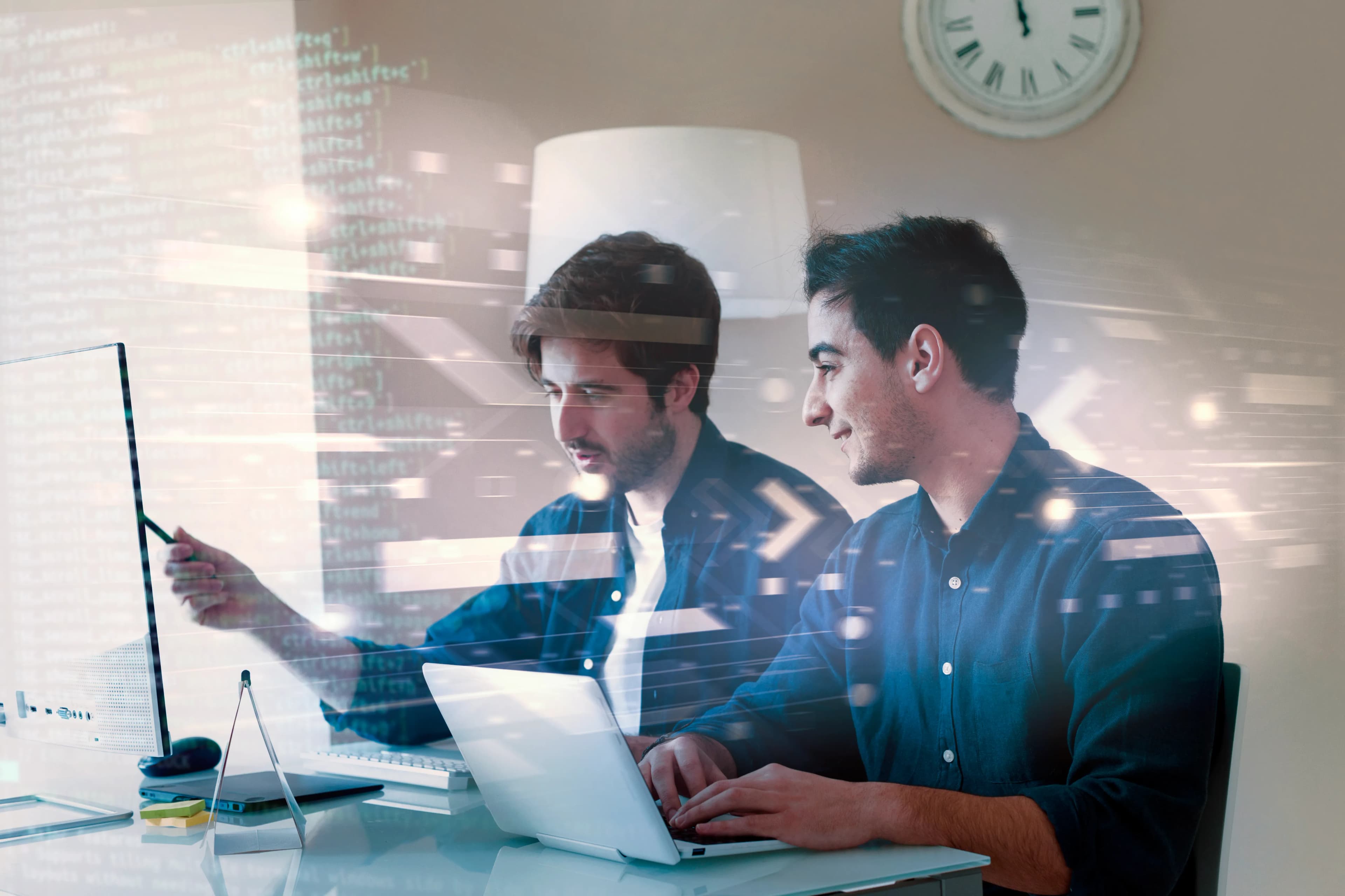 Software Consulting Services